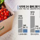 빅식자재