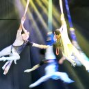 제주아트 서커스 이미지