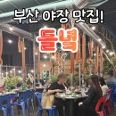 긴타로 | 부산 서면 야장 맛집 들녘 소갈비 내돈내산 후기