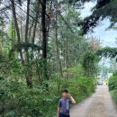 빨간풍선 | 청포대해수욕장 빨간풍선펜션 발려견동반 가족여행 완벽 가이드