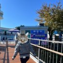 망상종합관광안내소 이미지