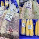 더싱싱 | 초당옥수수보다 더 맛있다? 싱싱장터 5천 원 자색 찰옥수수 솔직 후기