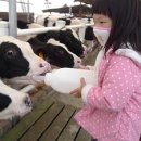 승민목장 이미지