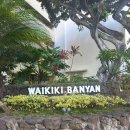 25개월 아이랑 하와이 숙소, 와이키키 반얀(waikiki banyan) 에어비앤비 후기