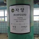 자양4동거리_2 이미지