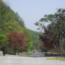 용인순교자기념관 Daum카페
