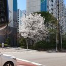 신나무실공원 네이버블로그