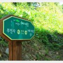 팔공산올레길 8코스 이미지