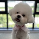 주식회사 하트세이버 이미지