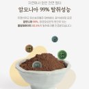 제주이엔티