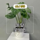 24시간 동탄꽃집 추천 꽃블리 꽃배달 후기