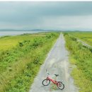 영산강뚝방길 이미지