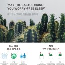 스타일수 이미지