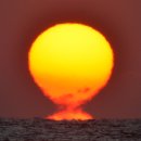 포항시남구31 이미지