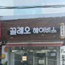 끌레오헤어비스