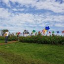 회산백련지 잔디광장 이미지