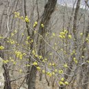 생육신 이경은선생 부조묘 이미지