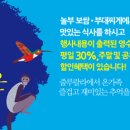 토토빌어학원