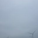 세화초등학교 | 7월 제주 가족여행 2 (법정악 전망대, 제주갈치구이, 구좌카페)