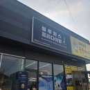 추천! 물이 무서워도 도전 가능한 블루피스 프리다이빙 후기/대구프리다이빙/ 블루피스 프리다이빙 🌊🤿