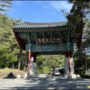 징효대사보인탑비 | 2025년 6월 4일 강원 영월군 무릉도원면 사자산 법흥사 - 한국33관음성지