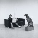 뉴비디오 이미지