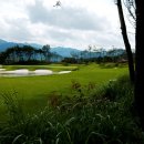 알프스대영컨트리클럽 이미지