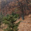 여우목 고개 이미지