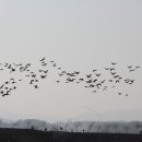 철새박물관 이미지