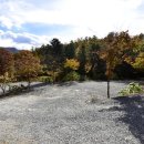 라온캠핑장 이미지