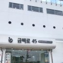 금백로45