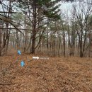 상수3리 이미지