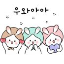 뜨개하다