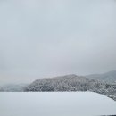 웰리힐리 스키장 이미지