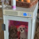 쁘니＆비키 네이버블로그