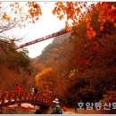 아름다운산악회 2012년 11월11일 일요일 제70차 정기산행 순창 강천산 583,7m 이미지