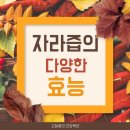고일용의건강백년 이미지