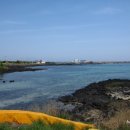 신례주유소 이미지