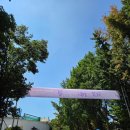 보현산 아차골사과 | 윤하 홀릭스 9기 팬미팅 후기(250810)