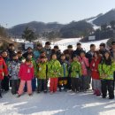 경희대 진명태권도 이미지