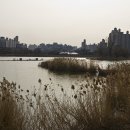 다목적게이트볼장화장실 이미지