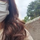 그냥;미장원 네이버블로그