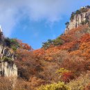 만산홍엽 보러가실분 이미지