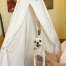 포항 씨클라우드 스파펜션 이미지