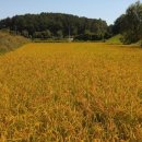 여주-0107 이미지