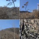 용인 삼봉산과 시궁산 ... 지난 3월11일 산행 후기
