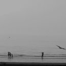 꽃지가는길 이미지