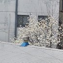나무간호학원 이미지