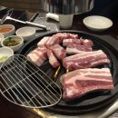 보담육풍