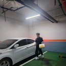 고래관광나이트 이미지